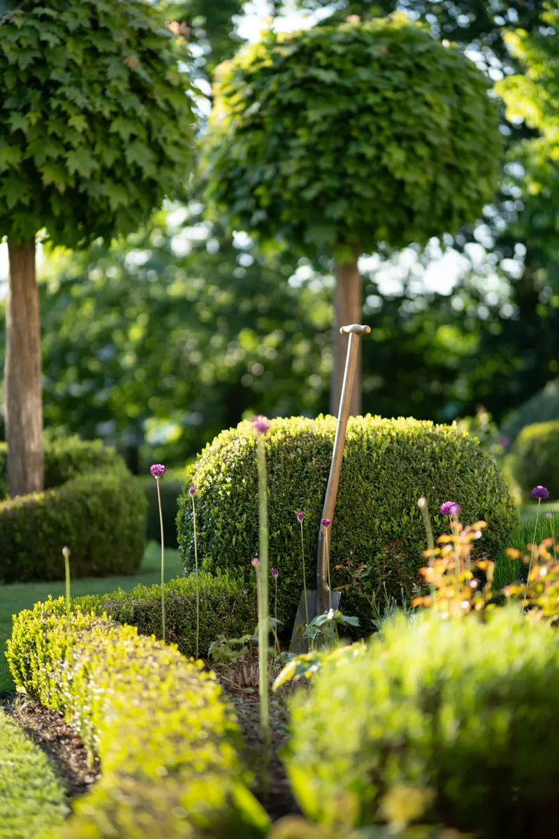 Gepflegter Garten mit Kugelbäumen, in Form geschnittenen Buchsbaumhecken und einem Spaten im Beet